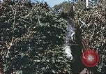 Image L'agriculture traditionnelle en Afghanistan Afghanistan, 1960, de la seconde 57 séquences d'archives historiques vidéo 65675066738
