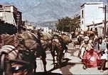 Image L'agriculture traditionnelle en Afghanistan Afghanistan, 1960, de la seconde 61 séquences d'archives historiques vidéo 65675066738