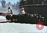 Image L'industrie ovine canadienne en Afghanistan Afghanistan, 1960, de la seconde 15 séquences d'archives historiques vidéo 65675066739