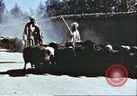 Image L'industrie ovine canadienne en Afghanistan Afghanistan, 1960, de la seconde 17 séquences d'archives historiques vidéo 65675066739