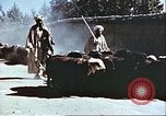 Image L'industrie ovine canadienne en Afghanistan Afghanistan, 1960, de la seconde 18 séquences d'archives historiques vidéo 65675066739
