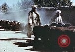 Image L'industrie ovine canadienne en Afghanistan Afghanistan, 1960, de la seconde 20 séquences d'archives historiques vidéo 65675066739
