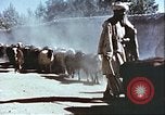 Image L'industrie ovine canadienne en Afghanistan Afghanistan, 1960, de la seconde 22 séquences d'archives historiques vidéo 65675066739