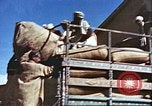 Image L'industrie ovine canadienne en Afghanistan Afghanistan, 1960, de la seconde 25 séquences d'archives historiques vidéo 65675066739