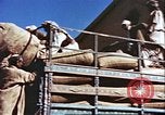 Image L'industrie ovine canadienne en Afghanistan Afghanistan, 1960, de la seconde 26 séquences d'archives historiques vidéo 65675066739