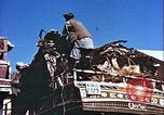 Image L'industrie ovine canadienne en Afghanistan Afghanistan, 1960, de la seconde 30 séquences d'archives historiques vidéo 65675066739