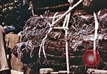 Image L'industrie ovine canadienne en Afghanistan Afghanistan, 1960, de la seconde 33 séquences d'archives historiques vidéo 65675066739