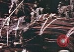 Image L'industrie ovine canadienne en Afghanistan Afghanistan, 1960, de la seconde 36 séquences d'archives historiques vidéo 65675066739