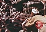 Image L'industrie ovine canadienne en Afghanistan Afghanistan, 1960, de la seconde 37 séquences d'archives historiques vidéo 65675066739