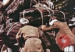 Image L'industrie ovine canadienne en Afghanistan Afghanistan, 1960, de la seconde 39 séquences d'archives historiques vidéo 65675066739