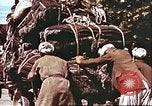 Image L'industrie ovine canadienne en Afghanistan Afghanistan, 1960, de la seconde 40 séquences d'archives historiques vidéo 65675066739