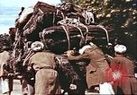Image L'industrie ovine canadienne en Afghanistan Afghanistan, 1960, de la seconde 41 séquences d'archives historiques vidéo 65675066739