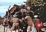 Image L'industrie ovine canadienne en Afghanistan Afghanistan, 1960, de la seconde 43 séquences d'archives historiques vidéo 65675066739