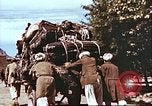 Image L'industrie ovine canadienne en Afghanistan Afghanistan, 1960, de la seconde 44 séquences d'archives historiques vidéo 65675066739