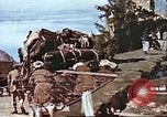 Image L'industrie ovine canadienne en Afghanistan Afghanistan, 1960, de la seconde 45 séquences d'archives historiques vidéo 65675066739