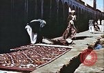 Image L'industrie ovine canadienne en Afghanistan Afghanistan, 1960, de la seconde 46 séquences d'archives historiques vidéo 65675066739