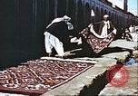 Image L'industrie ovine canadienne en Afghanistan Afghanistan, 1960, de la seconde 49 séquences d'archives historiques vidéo 65675066739