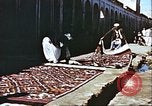 Image L'industrie ovine canadienne en Afghanistan Afghanistan, 1960, de la seconde 51 séquences d'archives historiques vidéo 65675066739
