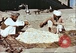 Image L'industrie ovine canadienne en Afghanistan Afghanistan, 1960, de la seconde 53 séquences d'archives historiques vidéo 65675066739
