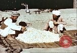 Image L'industrie ovine canadienne en Afghanistan Afghanistan, 1960, de la seconde 54 séquences d'archives historiques vidéo 65675066739