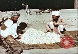 Image L'industrie ovine canadienne en Afghanistan Afghanistan, 1960, de la seconde 55 séquences d'archives historiques vidéo 65675066739