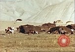 Image Morrison et Knudsen Construction Company Afghanistan, 1946, de la seconde 42 séquences d'archives historiques vidéo 65675066742
