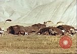 Image Morrison et Knudsen Construction Company Afghanistan, 1946, de la seconde 43 séquences d'archives historiques vidéo 65675066742