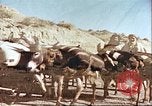 Image Morrison et Knudsen Construction Company Afghanistan, 1946, de la seconde 44 séquences d'archives historiques vidéo 65675066742