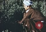 Image Morrison et Knudsen Construction Company Afghanistan, 1946, de la seconde 49 séquences d'archives historiques vidéo 65675066742