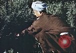 Image Morrison et Knudsen Construction Company Afghanistan, 1946, de la seconde 50 séquences d'archives historiques vidéo 65675066742