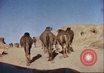 Image Morrison et Knudson Company Construction de barrages et canaux d'irrigation en Afghanistan Afghanistan, 1950, de la seconde 30 séquences d'archives historiques vidéo 65675066743