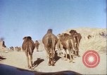 Image Morrison et Knudson Company Construction de barrages et canaux d'irrigation en Afghanistan Afghanistan, 1950, de la seconde 31 séquences d'archives historiques vidéo 65675066743