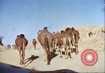 Image Morrison et Knudson Company Construction de barrages et canaux d'irrigation en Afghanistan Afghanistan, 1950, de la seconde 32 séquences d'archives historiques vidéo 65675066743