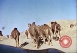 Image Morrison et Knudson Company Construction de barrages et canaux d'irrigation en Afghanistan Afghanistan, 1950, de la seconde 33 séquences d'archives historiques vidéo 65675066743