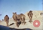 Image Morrison et Knudson Company Construction de barrages et canaux d'irrigation en Afghanistan Afghanistan, 1950, de la seconde 34 séquences d'archives historiques vidéo 65675066743