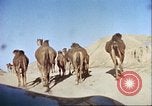 Image Morrison et Knudson Company Construction de barrages et canaux d'irrigation en Afghanistan Afghanistan, 1950, de la seconde 35 séquences d'archives historiques vidéo 65675066743