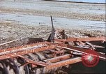 Image Barrage de dérivation Boghra et canal en Afghanistan Afghanistan, 1952, de la seconde 47 séquences d'archives historiques vidéo 65675066744