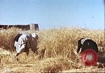 Image Barrage de dérivation Boghra et canal en Afghanistan Afghanistan, 1952, de la seconde 60 séquences d'archives historiques vidéo 65675066744