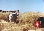 Image Barrage de dérivation Boghra et canal en Afghanistan Afghanistan, 1952, de la seconde 61 séquences d'archives historiques vidéo 65675066744