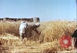 Image Barrage de dérivation Boghra et canal en Afghanistan Afghanistan, 1952, de la seconde 62 séquences d'archives historiques vidéo 65675066744