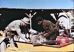 Image Ferme expérimentale Morrison-Knudsen en Afghanistan Afghanistan, 1952, de la seconde 17 séquences d'archives historiques vidéo 65675066746