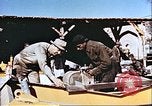 Image Ferme expérimentale Morrison-Knudsen en Afghanistan Afghanistan, 1952, de la seconde 18 séquences d'archives historiques vidéo 65675066746