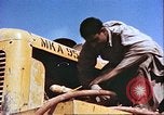 Image Ferme expérimentale Morrison-Knudsen en Afghanistan Afghanistan, 1952, de la seconde 20 séquences d'archives historiques vidéo 65675066746