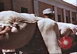 Image Résultats de l'Afghanistan de l'après-guerre programme de modernisation Afghanistan, 1953, de la seconde 38 séquences d'archives historiques vidéo 65675066747