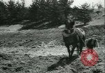 Image des civils allemands Allemagne, 1945, de la seconde 53 séquences d'archives historiques vidéo 65675066748