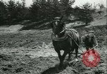 Image des civils allemands Allemagne, 1945, de la seconde 54 séquences d'archives historiques vidéo 65675066748
