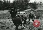 Image des civils allemands Allemagne, 1945, de la seconde 55 séquences d'archives historiques vidéo 65675066748