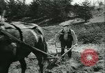 Image des civils allemands Allemagne, 1945, de la seconde 56 séquences d'archives historiques vidéo 65675066748
