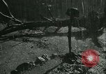 Image des soldats allemands United States USA, 1945, de la seconde 25 séquences d'archives historiques vidéo 65675066749