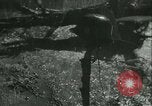 Image des soldats allemands United States USA, 1945, de la seconde 31 séquences d'archives historiques vidéo 65675066749